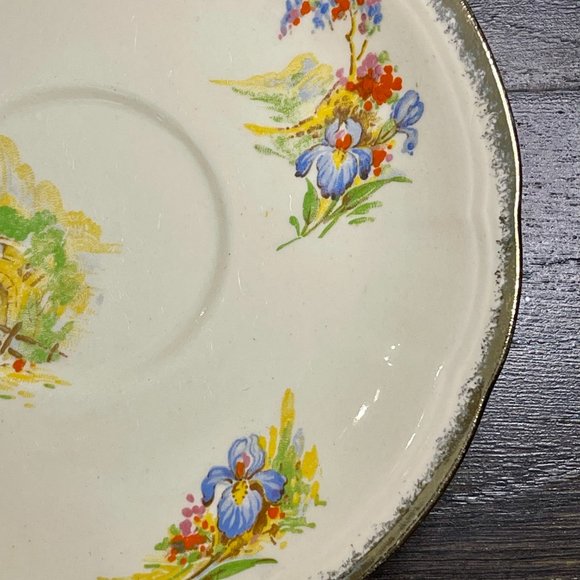 Near Antique (1930s) Alfred Meakin Royal Marigold Teacup & Saucer - Picture 5 of 9